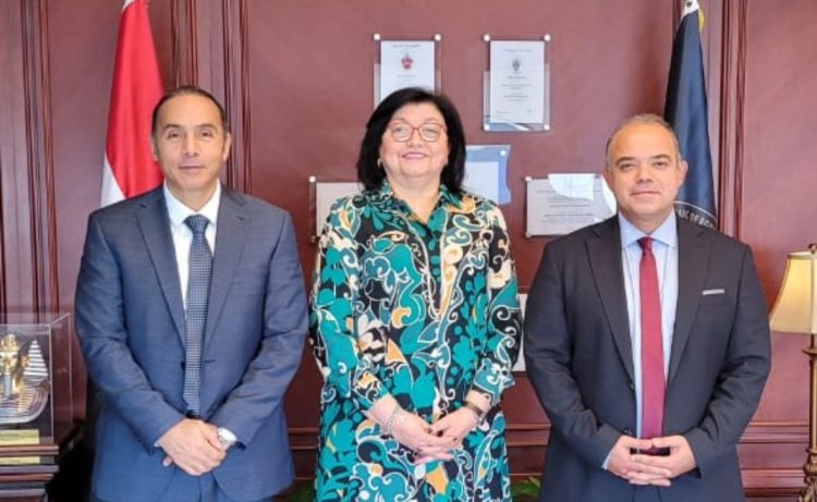 تعيين المصرفية البارزة لميس على نجم مستشاراً لرئيس الهيئة العامة للرقابة المالية