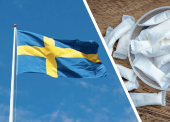 السويد في مواجهة الجدل: هل أكياس النيكوتين تقلل فعلاً من التدخين التقليدي؟