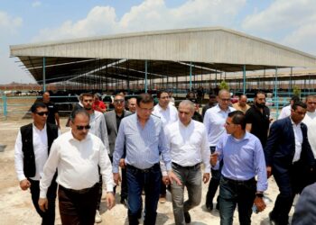 البنك الزراعي المصري يمول شراء 2000 رأس ماشية بقيمة 395 مليون جنيه لصالح 188 من صغار المربين بالشرقية