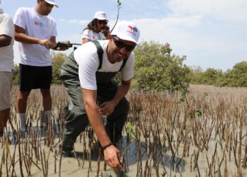 موظفو توتال إنرجيز للتسويق إيجيبت يزرعون 1000 شجرة مانغروف في مرسى علم ضمن مبادرة للمسؤولية المجتمعية