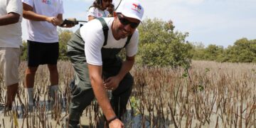 موظفو توتال إنرجيز للتسويق إيجيبت يزرعون 1000 شجرة مانغروف في مرسى علم ضمن مبادرة للمسؤولية المجتمعية