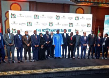 مشروعات السويدي إليكتريك في تنزانيا تعزز الشراكة المصرية الأفريقية وتدعم التنمية المستدامة